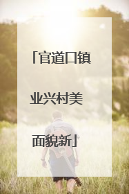 官道口镇 业兴村美面貌新